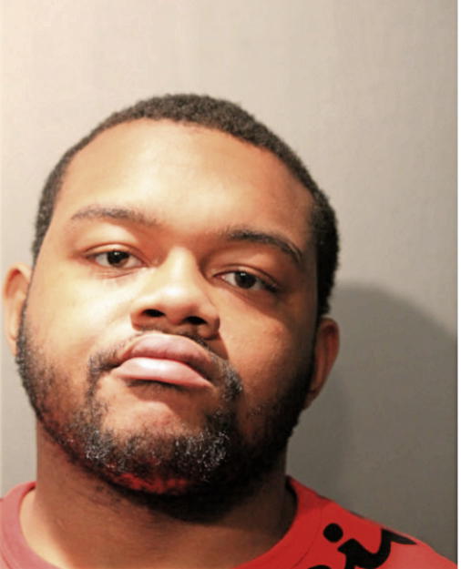 JAMIE E WILLIAMS, Cook County, Illinois