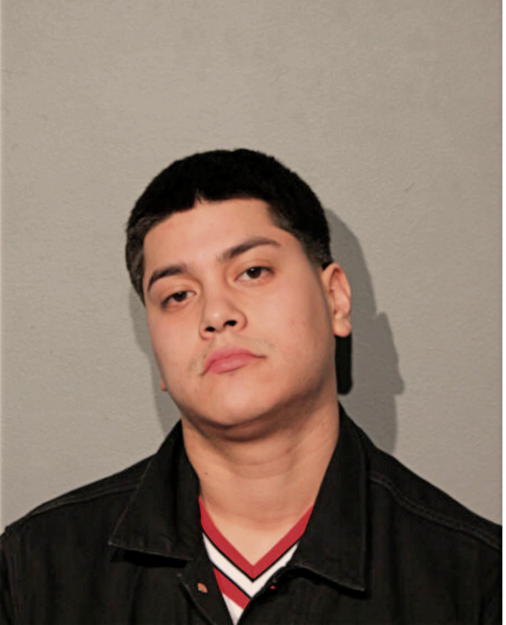 ALFONSO ALARCON, Cook County, Illinois