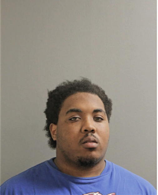 KIRK D ANDERSON, Cook County, Illinois