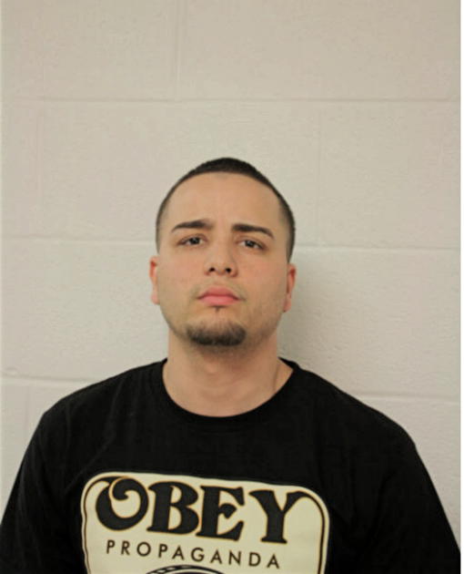 JONATHAN BORGES, Cook County, Illinois