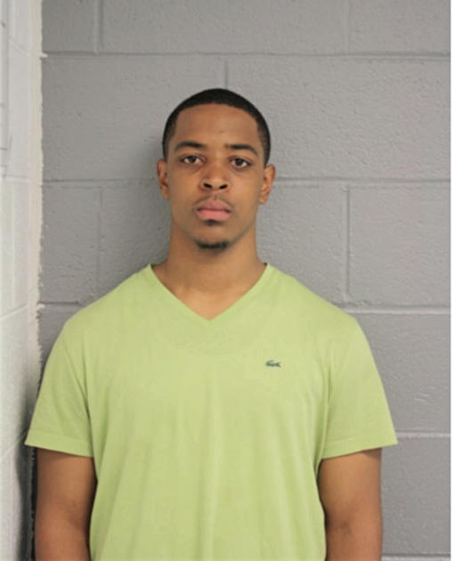 RONALD J BOYD, Cook County, Illinois