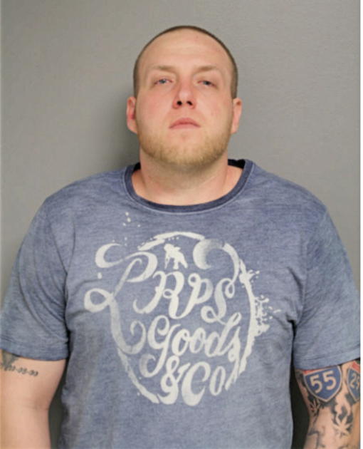 GEORGE R CAITHAMER, Cook County, Illinois