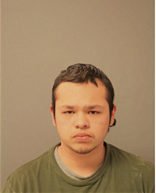 RICK A CARLOS, Cook County, Illinois
