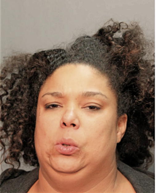 SARAH J DONOHUE, Cook County, Illinois