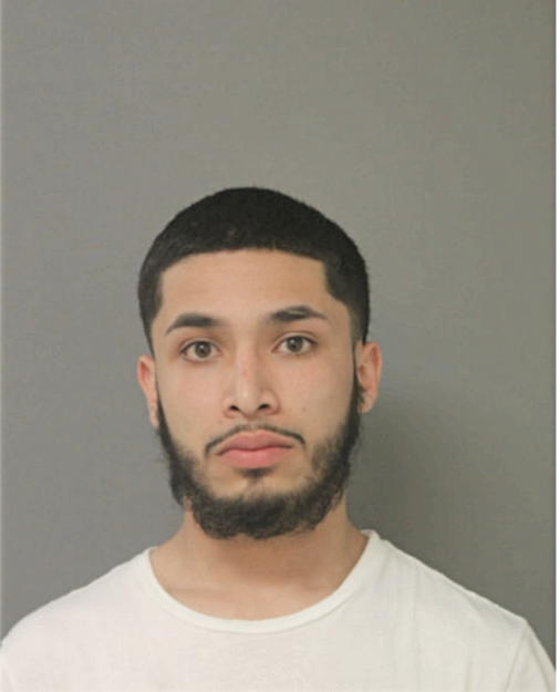 RAMON C FLORES, Cook County, Illinois