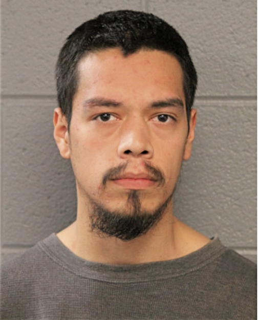 JESUS HINOJOSA, Cook County, Illinois