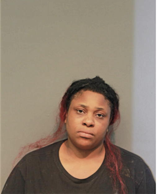 VICKI N JOHNSON, Cook County, Illinois