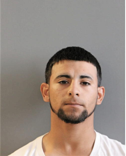 ERLIN JOSUE LARIOS, Cook County, Illinois