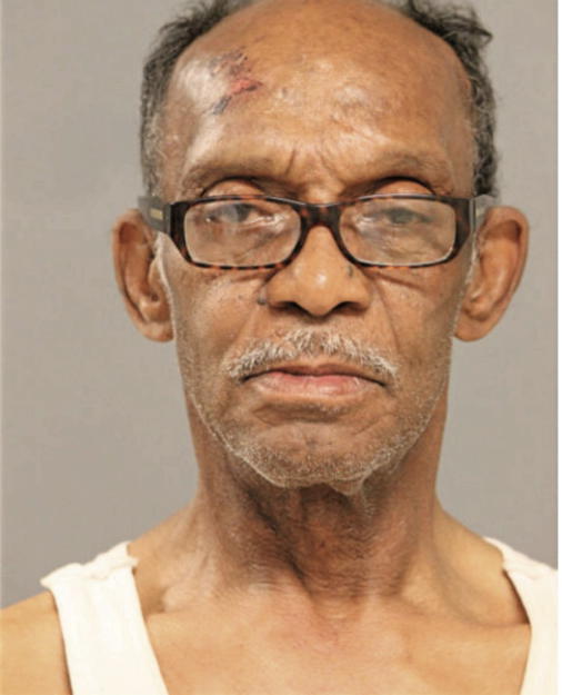 MICHAEL L LOUDEN, Cook County, Illinois