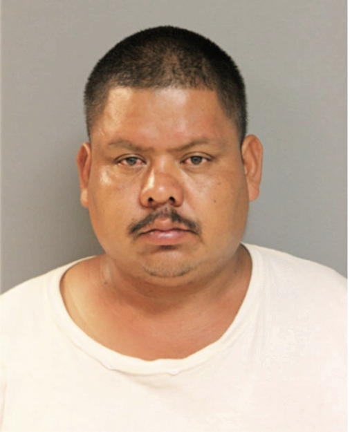 MARCO A MAYORGA, Cook County, Illinois
