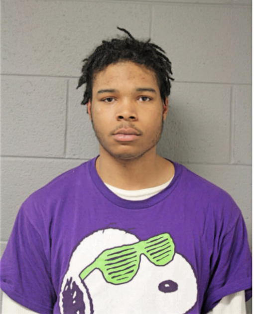 SEBASTIAN L MCKAMEY, Cook County, Illinois