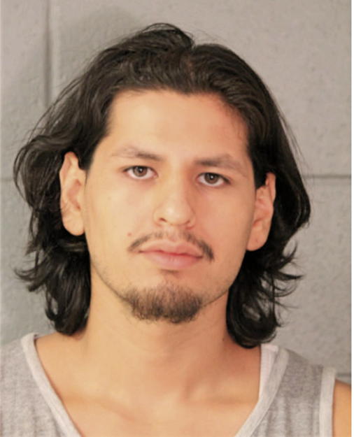 CESAR MEDINA, Cook County, Illinois