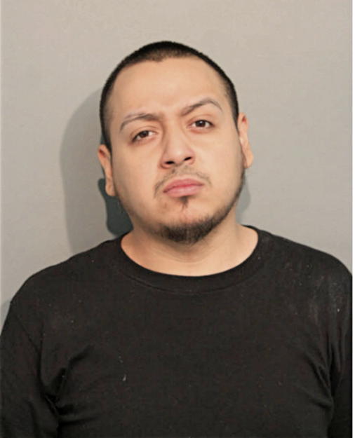 JOE A MOYA, Cook County, Illinois