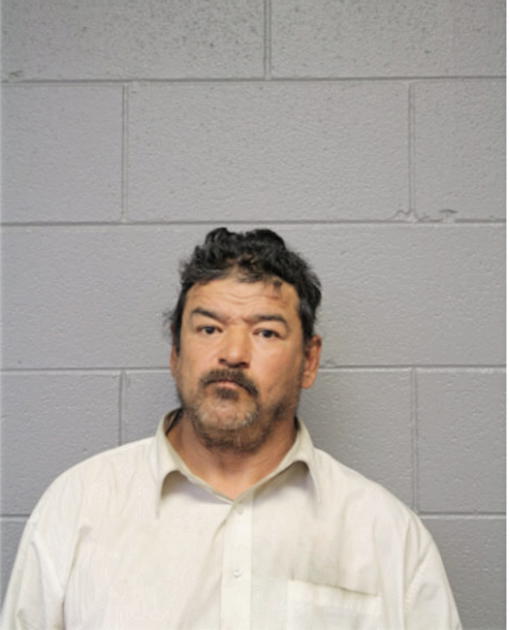NICHOLAS ORTIZ-SALAS, Cook County, Illinois