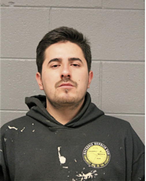 JUAN CARLOS PEREIDA, Cook County, Illinois