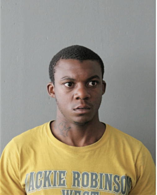 RONNIE L ROBINSON, Cook County, Illinois