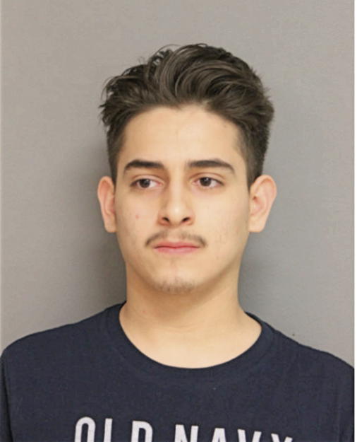 MISAEL RUIZ, Cook County, Illinois