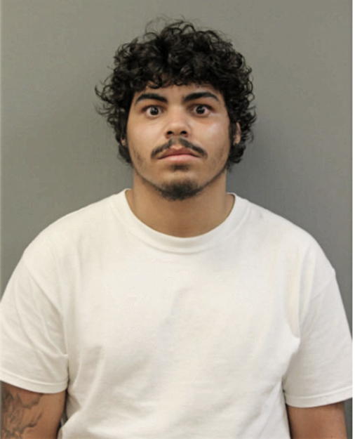 JORGE L SANCHEZ, Cook County, Illinois