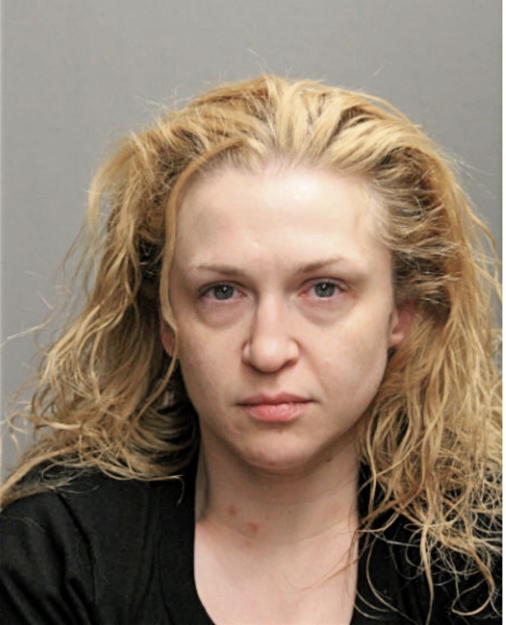 AMANDA L SARKAN, Cook County, Illinois