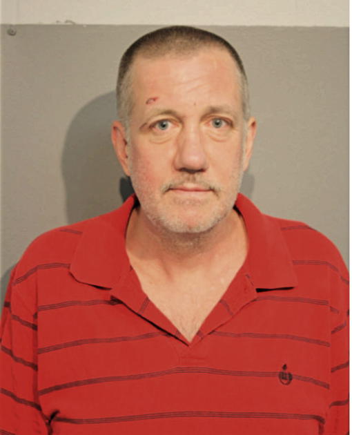 DIRK L SCHERIBEL, Cook County, Illinois