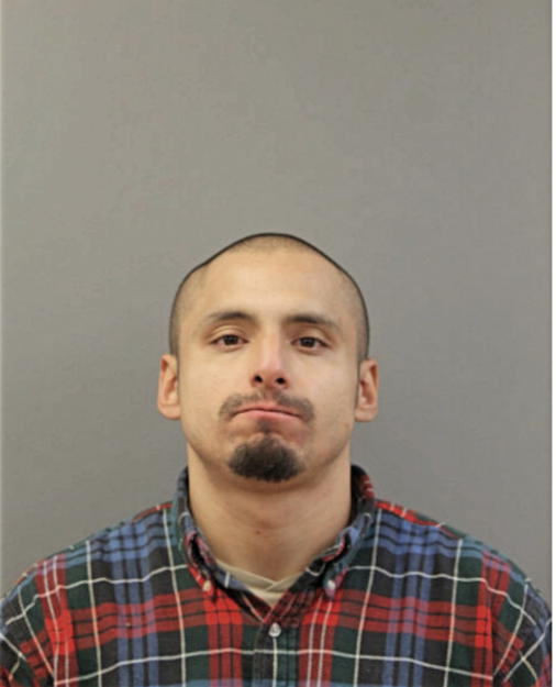 FRANCISCO J VEGA, Cook County, Illinois