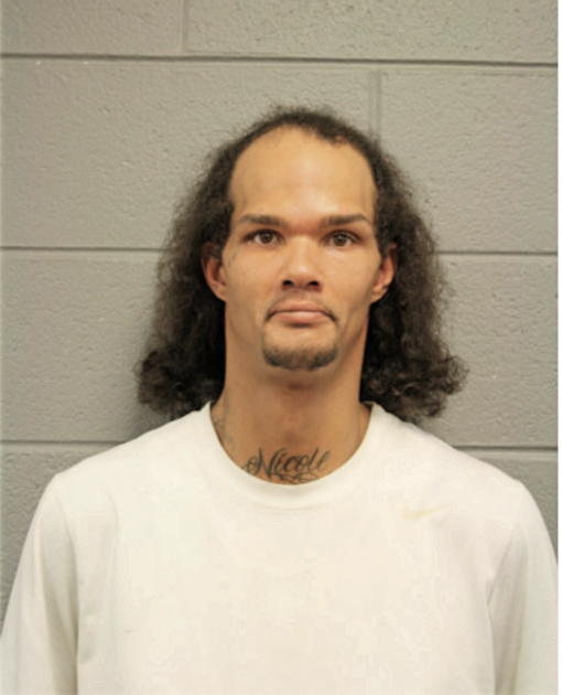JOHN W WERNER, Cook County, Illinois