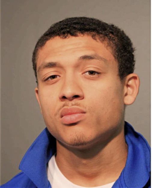 DALE T WHITE, Cook County, Illinois