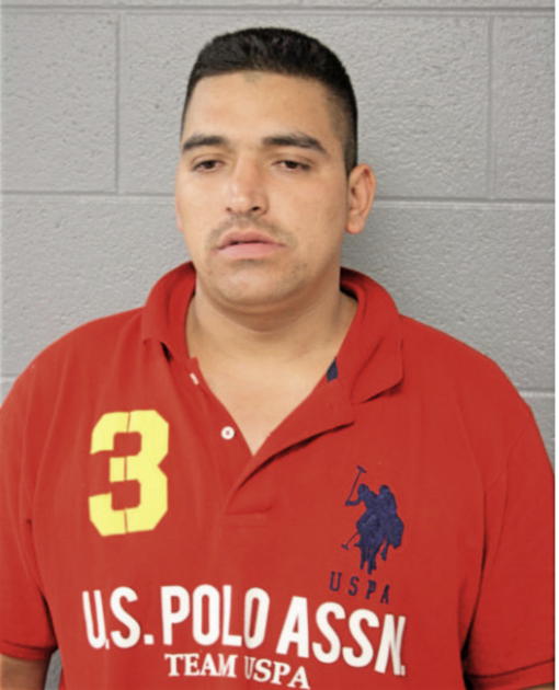 FIDEL REYES ZAVALA, Cook County, Illinois