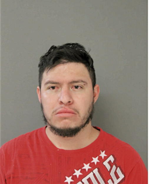 EMMANUEL ALANIS-ALANIS, Cook County, Illinois