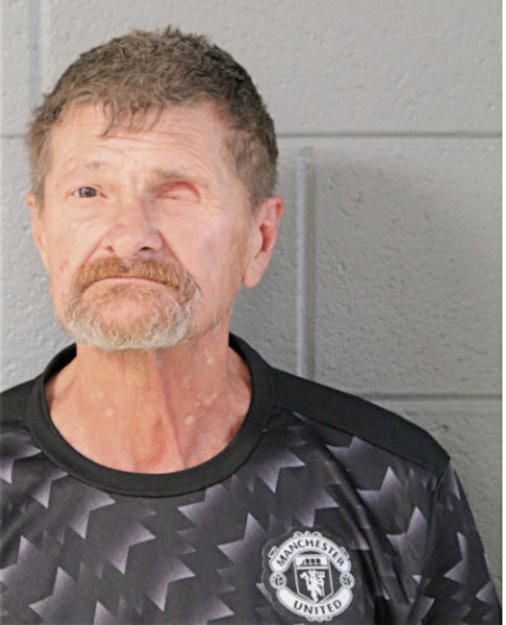 ROGER T DZIADKOWIEC, Cook County, Illinois