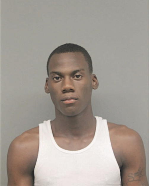 LEON C EVANS, Cook County, Illinois