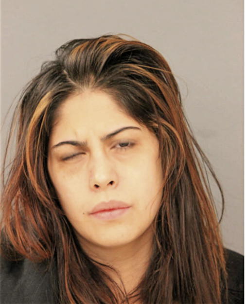 JENNIFER FERNANDEZ, Cook County, Illinois