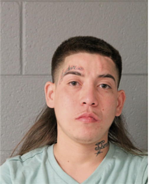 ERIC FLORES, Cook County, Illinois