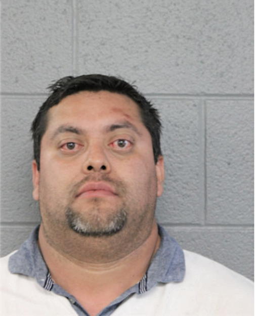 RICARDO R GONZALEZ, Cook County, Illinois