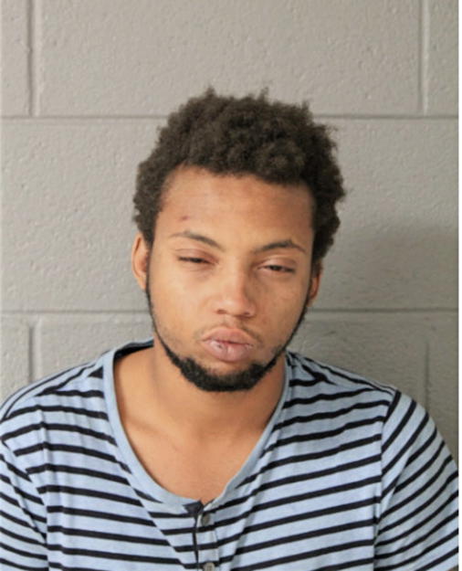 WESLEY J HICKS, Cook County, Illinois