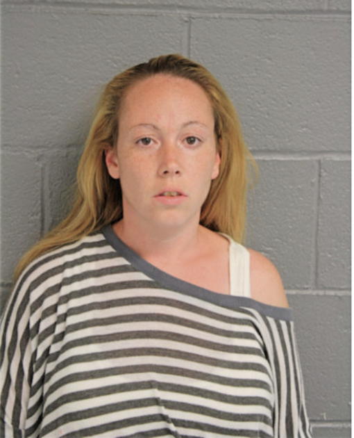 ERIN N HOLLOWAY, Cook County, Illinois