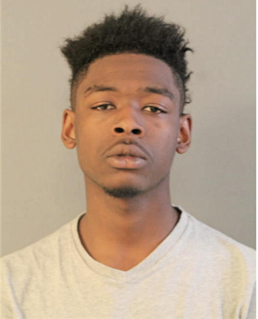 JERON U HUDSON, Cook County, Illinois