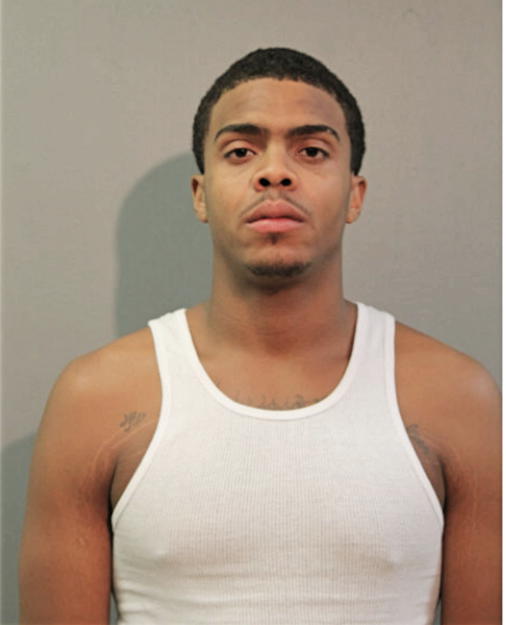 DENNIS M JOHNSON, Cook County, Illinois