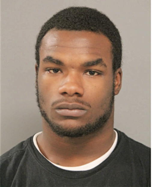 KENNETH C JOHNSON, Cook County, Illinois
