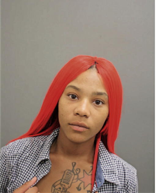 MICHELE A MCKAY, Cook County, Illinois