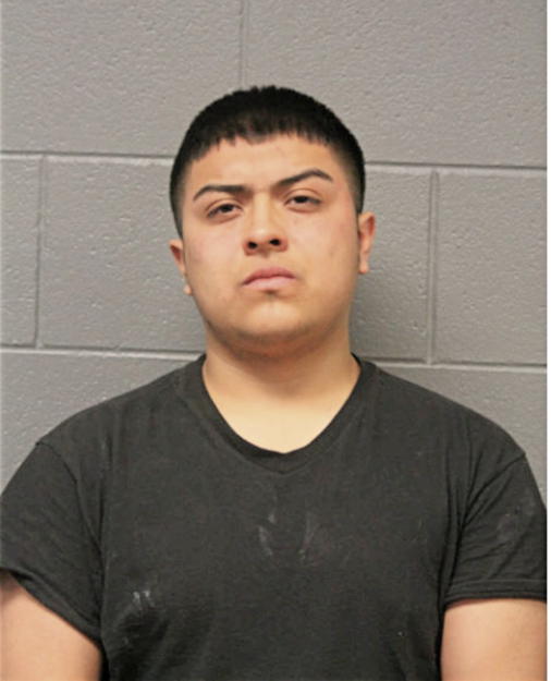 DYLAN S MEJIA, Cook County, Illinois