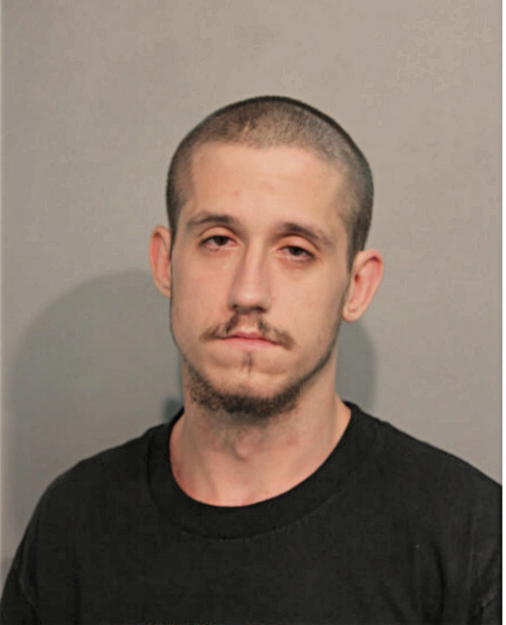 ROBERT A MIKKELSON, Cook County, Illinois