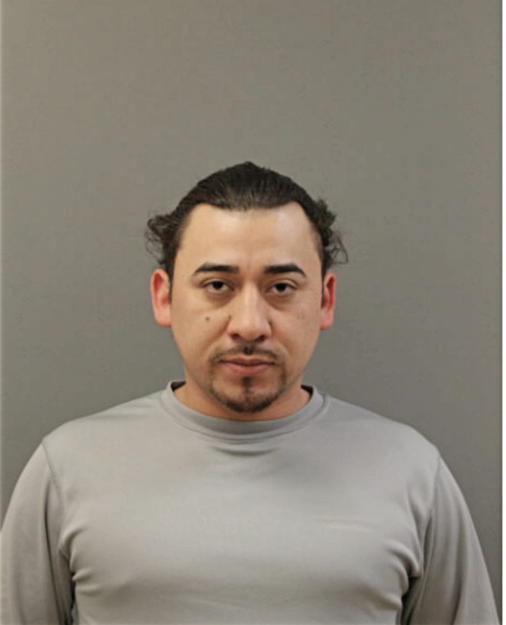 CARLOS A MIRANDA, Cook County, Illinois