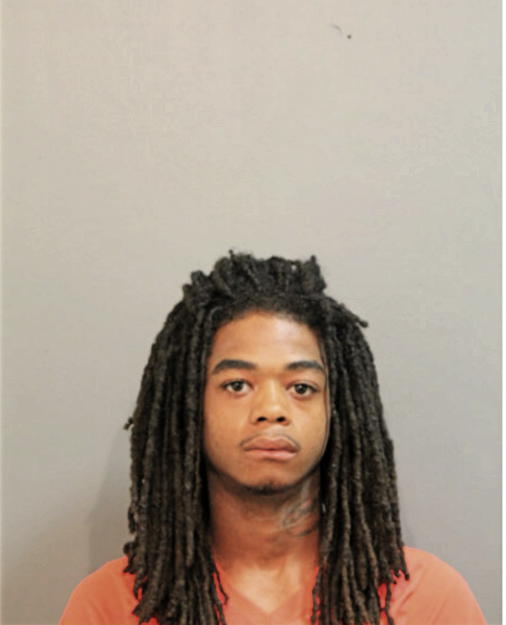 JOE J MONTGOMERY, Cook County, Illinois