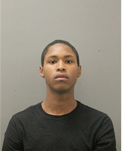 DARRYL H PETERSON, Cook County, Illinois