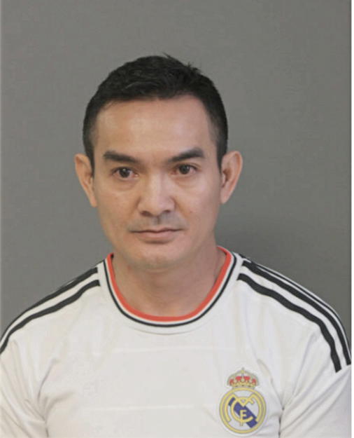 TROUNG D PHAN, Cook County, Illinois
