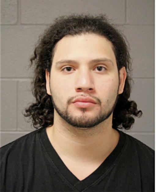 ADRIAN J REA, Cook County, Illinois