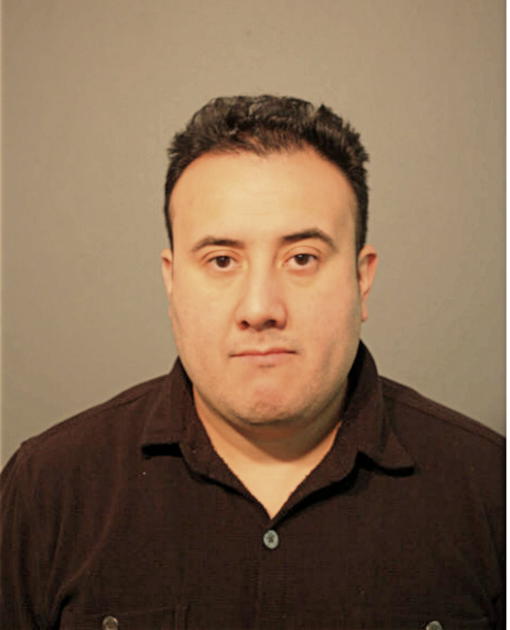 DAVID G REYES, Cook County, Illinois