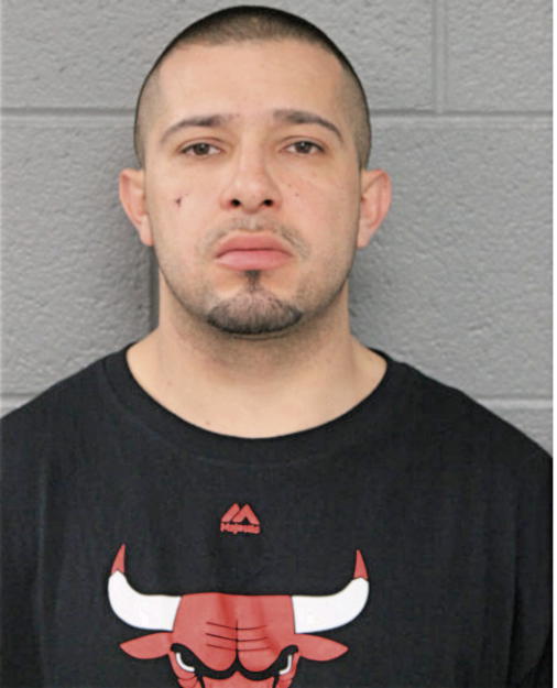DANIEL JR REYSONO, Cook County, Illinois