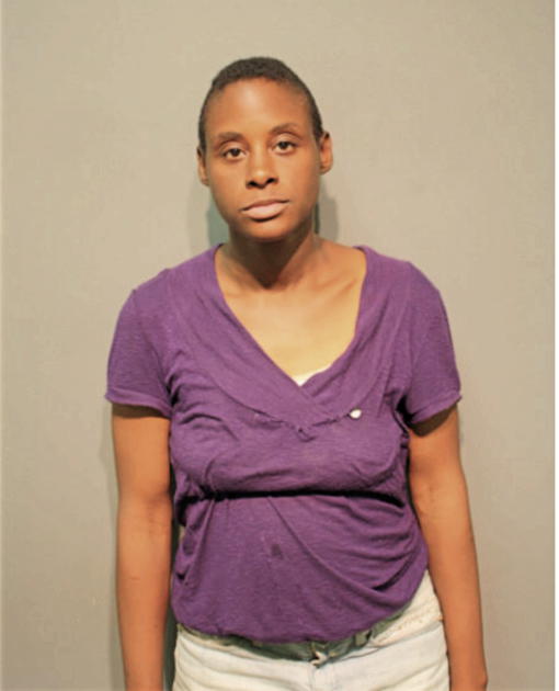 MARY T ANDERSON, Cook County, Illinois